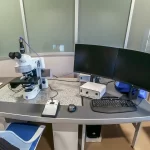 Microscopio de campo amplio Zeiss Axio Imager z2m